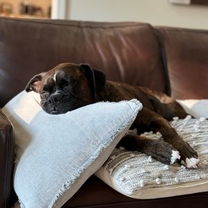 Meet your Posher, Rita